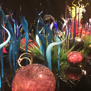  Chihuly Garden and Glass  Exhibit